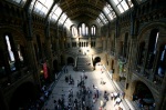 The Natural History Museum (Darwin now in his rightful place at the top of the stairs)